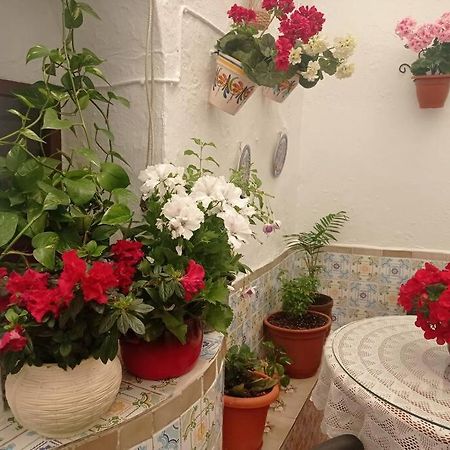 Villanueva de San JuanCasa Tipica De Pueblo Andaluz别墅 外观 照片