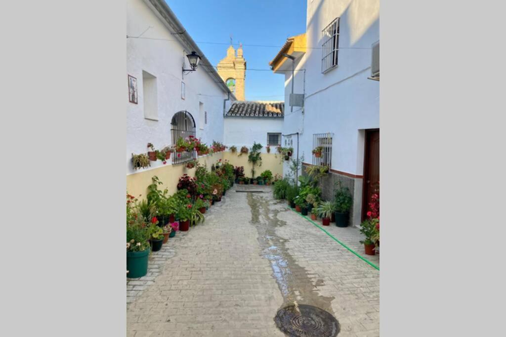 Villanueva de San JuanCasa Tipica De Pueblo Andaluz别墅 外观 照片